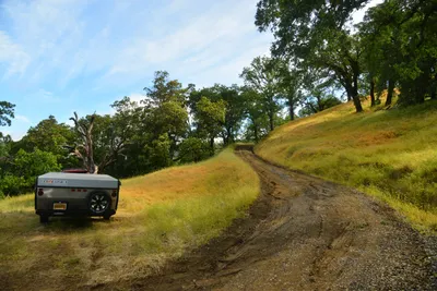 DSC_6785 (Large).JPG